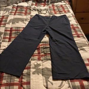 Ann Taylor Navy Pants